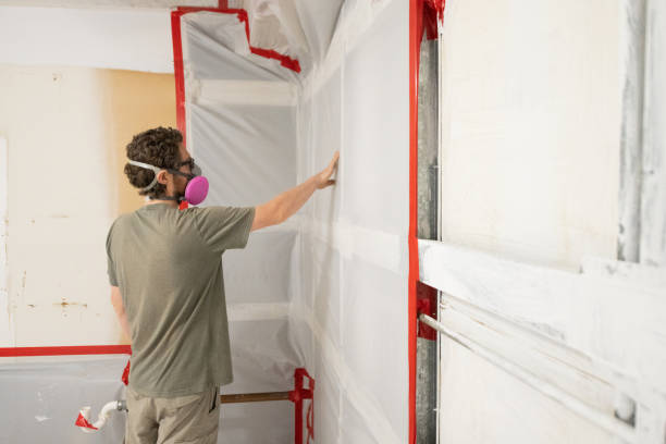 Best Mold Documentation for Insurance Claims  in Fort Gibson, OK