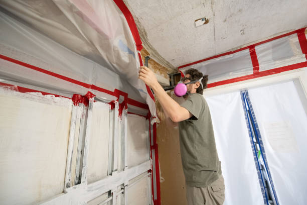 Best Indoor Air Quality Assessment  in Fort Gibson, OK