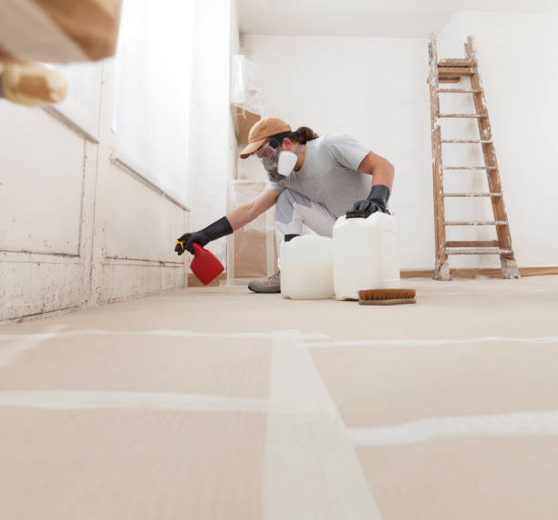 Best Mold Odor Removal Services  in Fort Gibson, OK