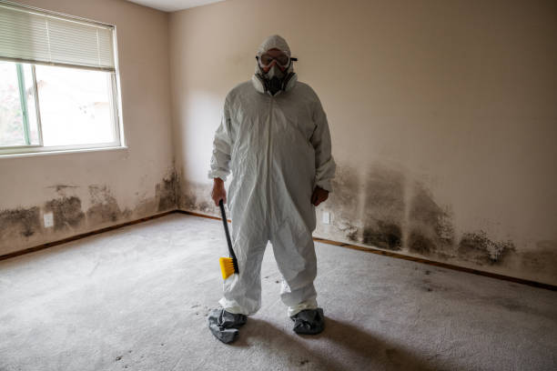 Best Black Mold Removal  in Fort Gibson, OK